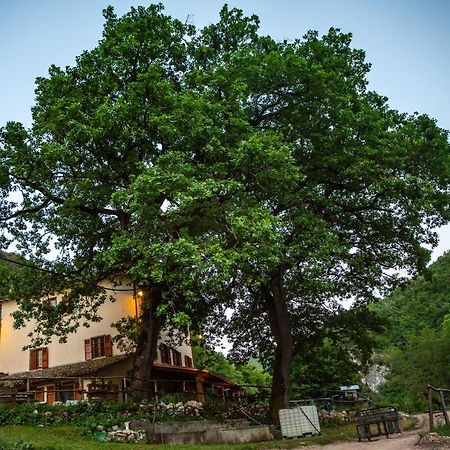 Agriturismo Le Due Querce Cerreto di Spoleto Exterior foto